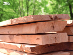 Gỗ tự nhiên là gì? Tại sao dùng làm tủ bếp? Gỗ tự nhiên là gì