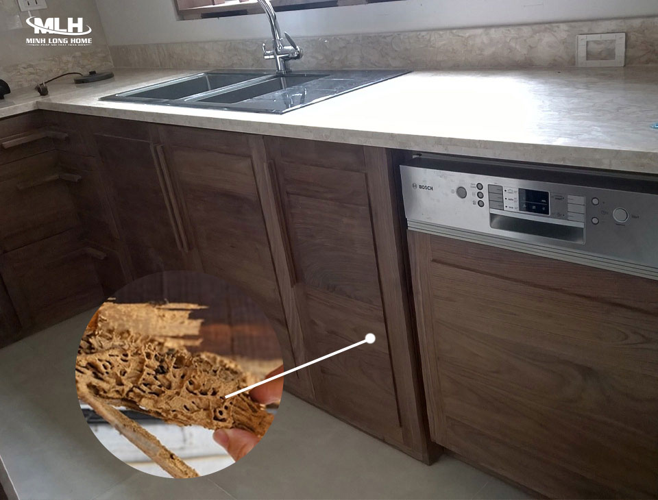 Tủ bếp gỗ tự nhiên có mối mọt không? Tủ bếp gỗ tự nhiên có bị mối mọt không